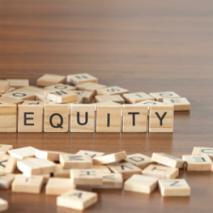 bringing the pieces together for equity in the healthcare system